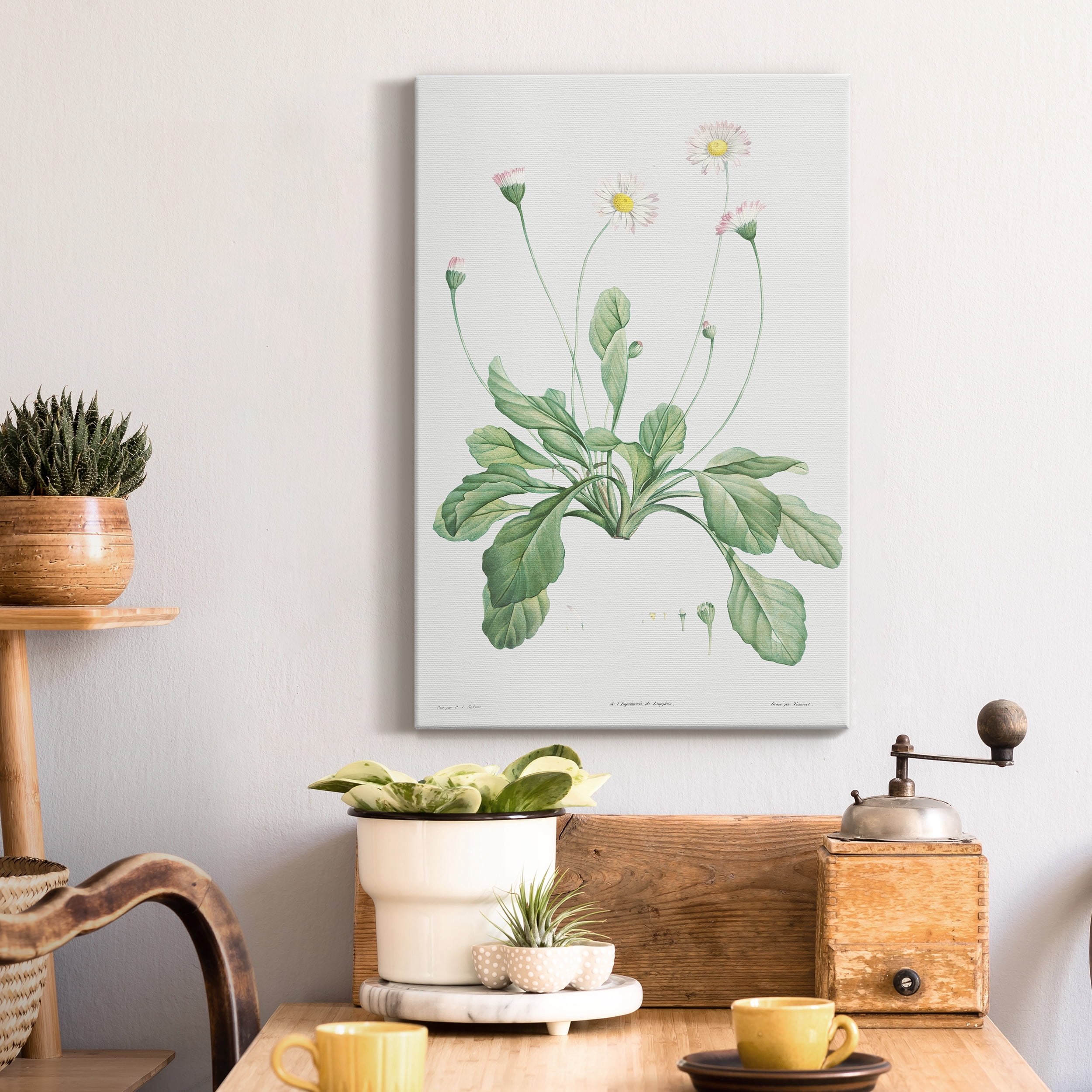 Daisy Premium Gallery Wrapped Canvas - Ready to Hang - 8 x 12