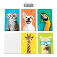 thumbnail image 3 of American Greetings All Occasion Card Bundle with Storage Box for Anyone, Animals (4-Designs, 20-Count), 3 of 5