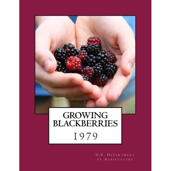 Growing Blackberries