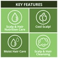 thumbnail image 2 of Daeng Gi Meo Ri Natural On Tea Tree Cool Shampoo and Treatment Set (1000 ml., 2 pk), 2 of 4