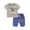 Z006-Grey, variant on Toddler Boys Summer Dinosaur T-Shirt and Shorts Set 2-7 Years 2 Count