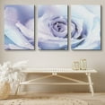 thumbnail image 2 of PixonSign Canvas Print Wall Art Set Purple and Blue Rose Interior Botanical Flower Photography Realism Contemporary Closeup Edgy Multicolor Pastel for Living Room, Bedroom, Office - 24"x36"x3, 2 of 5