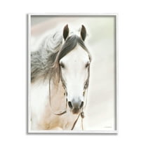 Stupell Industries White Horse Portrait Animals & Insects Photography White Framed Art Print Wall Art, 24 x 30