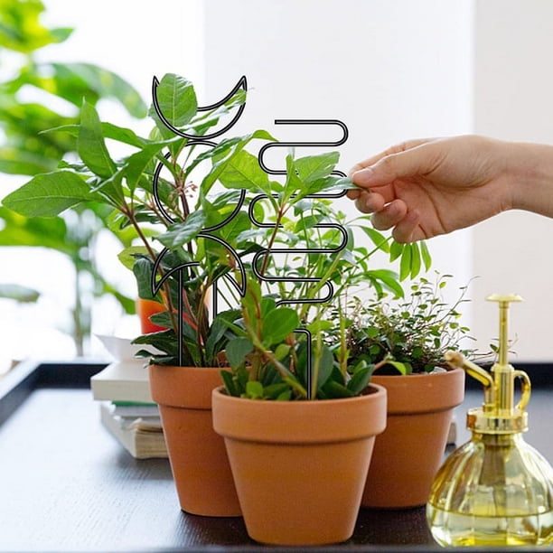 Enrejado De Etal Para Jardín De 24 Pulgadas Para Plantas Trepadoras