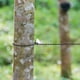 thumbnail image 5 of Stretch Clothesline Travel Clothesline Portable Retractable Camping, 5 of 5