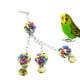 thumbnail image 5 of Juguete de bola para morder para pájaros, bola de plástico colorida, accesorio para jaula de campana para loros, 5 of 5