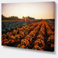 thumbnail image 2 of Beautiful Japanese Flower Farm - Floral Canvas Art Print, 2 of 3