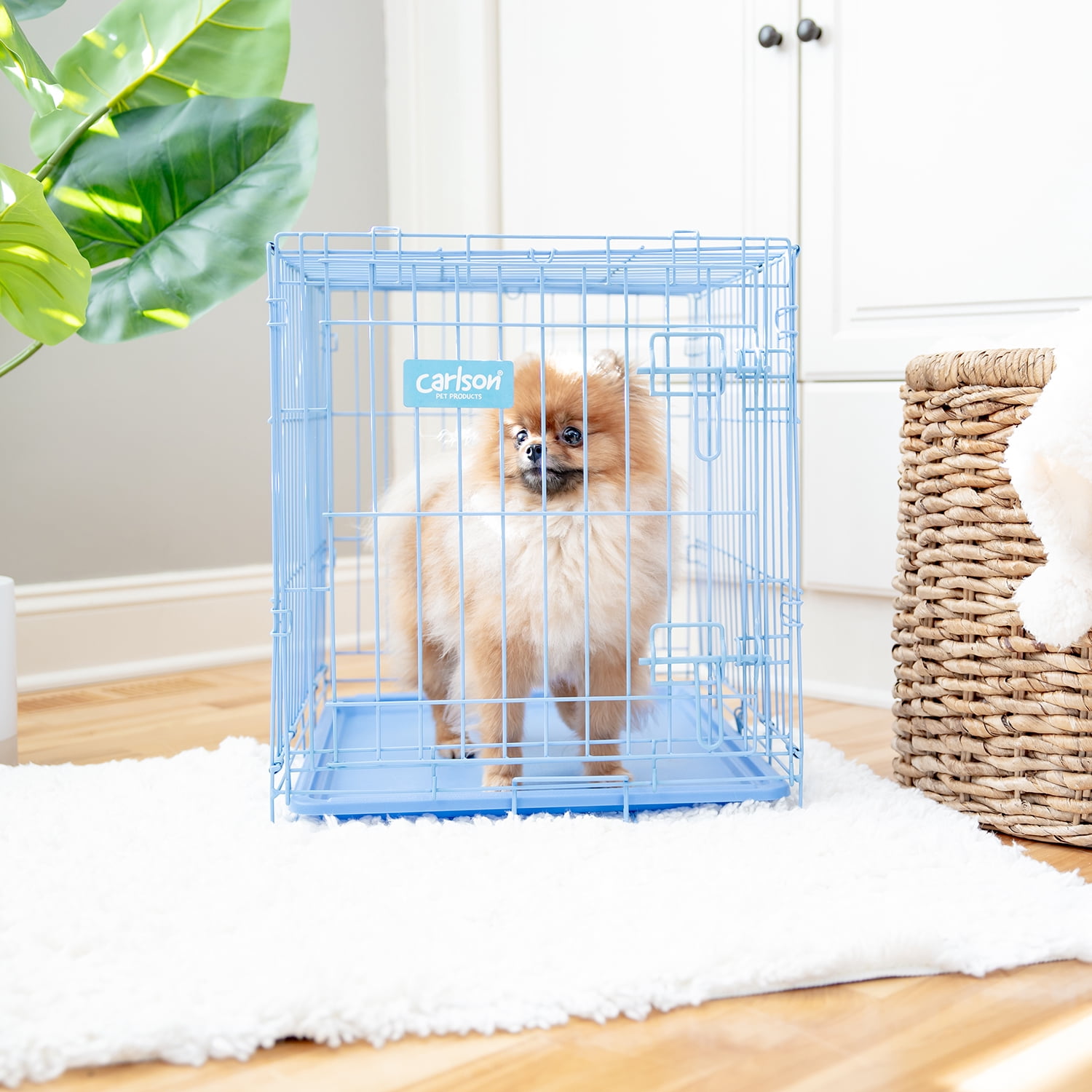 Carlson Pet Products Compact Deluxe Metal Dog Crate with Pan, Blue, Small, 24"L