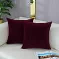 thumbnail image 1 of Cterwk - Juego de 2 fundas de cojín de terciopelo para salón y dormitorio, decorativas, de color liso, para sofá, sillón y silla, 45,7 x 45,7 cm, 1 of 7