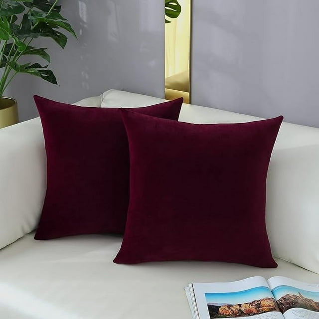 Cterwk - Juego de 2 fundas de cojín de terciopelo para salón y dormitorio, decorativas, de color liso, para sofá, sillón y silla, 45,7 x 45,7 cm