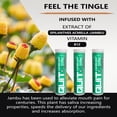thumbnail image 7 of Xero Picks Infused Flavored Toothpicks to Help Quit Smoking - Nicotine Free (Wintergreenm, 3 Pack) Non-GMO Kosher Vegan, 7 of 7