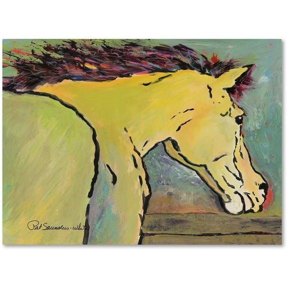 Trademark Fine Art "Waiting for Sunrise" Canvas Art by Pat Saunders-White