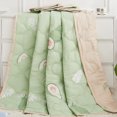 thumbnail image 1 of Air Conditioner Quilt Summer Air Conditioner Quilt Machine Washable Soft Breathable Portable Air Conditioner Blanket Summer Comforter Avocado 150x200cm, 1 of 5