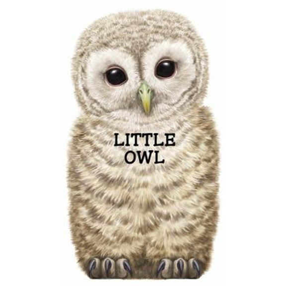 Pre-Owned Little Owl (Paperback) 0764164473 9780764164477