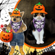 thumbnail image 5 of Pack Halloween Perro Diadema Doble Cara Triángulo Bib Bufanda Accesorios MFZFUKR CPB-DE-LYY2091-3, 5 of 5