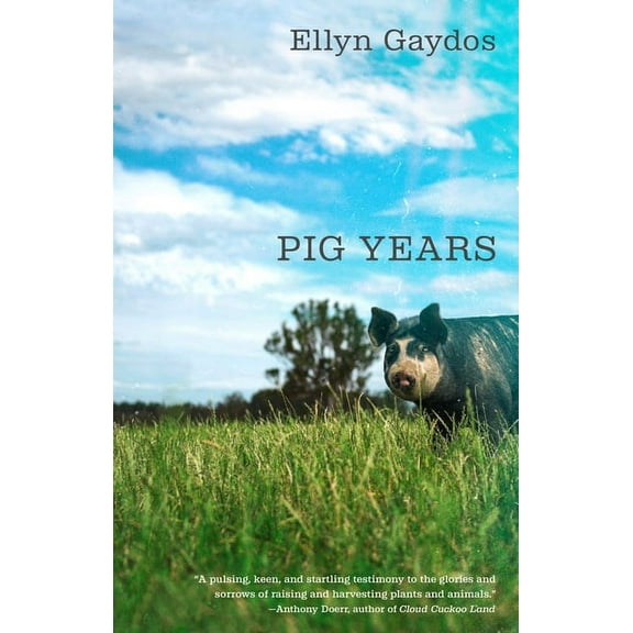 Pig Years, (Paperback)