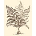 thumbnail image 2 of Munting, Abraham 15x18 Gold Ornate Wood Framed with Double Matting Museum Art Print Titled - Sepia Munting Foliage VI, 2 of 4