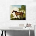 thumbnail image 2 of ARTCANVAS Truss - A Hunter Canvas Art Print by George Stubbs - Size: 18" x 18" (0.75" Deep), 2 of 9
