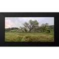 thumbnail image 2 of Blaustein, Alan 24x14 Black Modern Framed Museum Art Print Titled - Oak Tree Pano - 133, 2 of 5