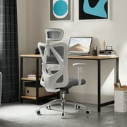 Sihoo High Back Lumbar Support and Breathable Computer Desk Chair, Light Gray