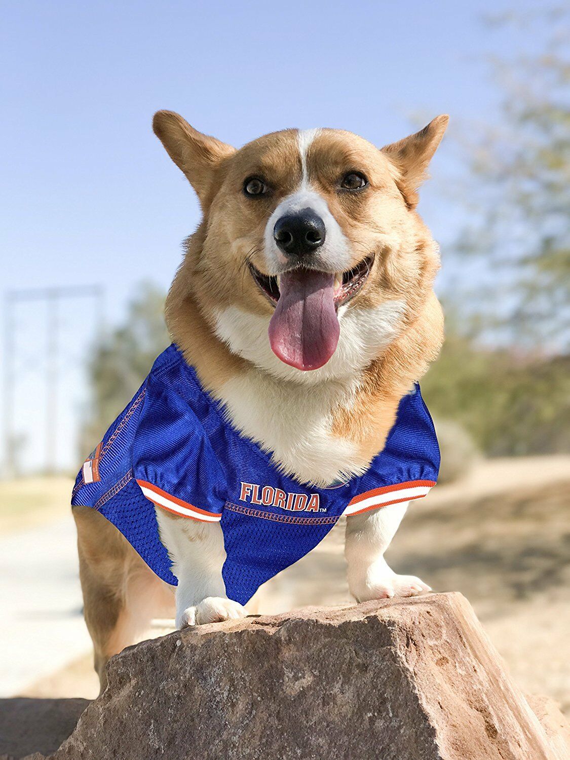 Pets First Collegiate Florida Gators Football/Basketball Mesh Jersey for Pet Dog. available in 40+ Teams - Small