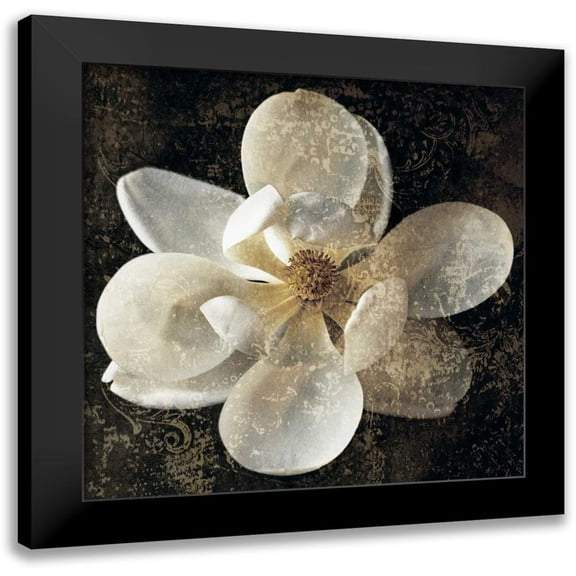Seba, John 12x12 Black Modern Framed Museum Art Print Titled - Magnolia I