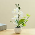 thumbnail image 4 of Flor falsa de doble tenedor, simulación de phalaenopsis, decoración creativa de bonsái pequeño, planta artificial en maceta, planta verde, 4 of 5