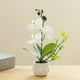 thumbnail image 4 of Flor falsa de doble horquilla, simulación de phalaenopsis, decoración creativa de bonsái pequeño, planta artificial en maceta, planta verde, 4 of 5