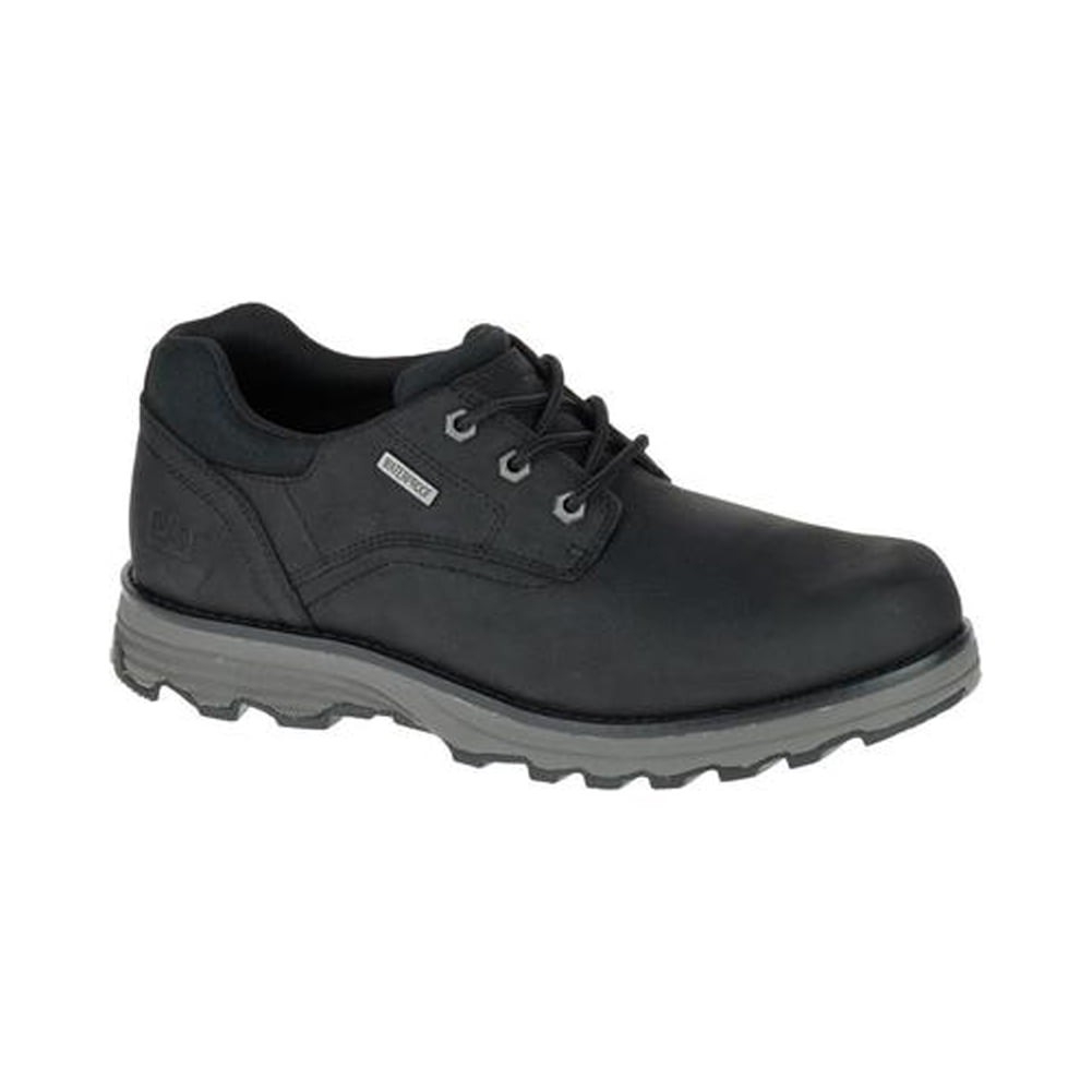 new cat shoes