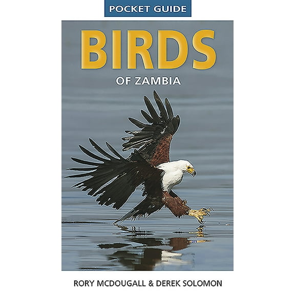 Pocket Guides Pocket Guide Birds of Zambia, (Paperback)