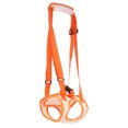 thumbnail image 1 of WASHWEPE Arnés De Para Perro Con Soporte Trasero Y Asa Ergonómica En Material De Calidad, 1 of 6