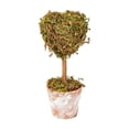 thumbnail image 2 of Fmbmuo Christmas Decor Creative Mini Tree Heart Shaped Desktop Ornament Festive Potted Decor for Desk and Shelf Ornaments,Green, 2 of 5
