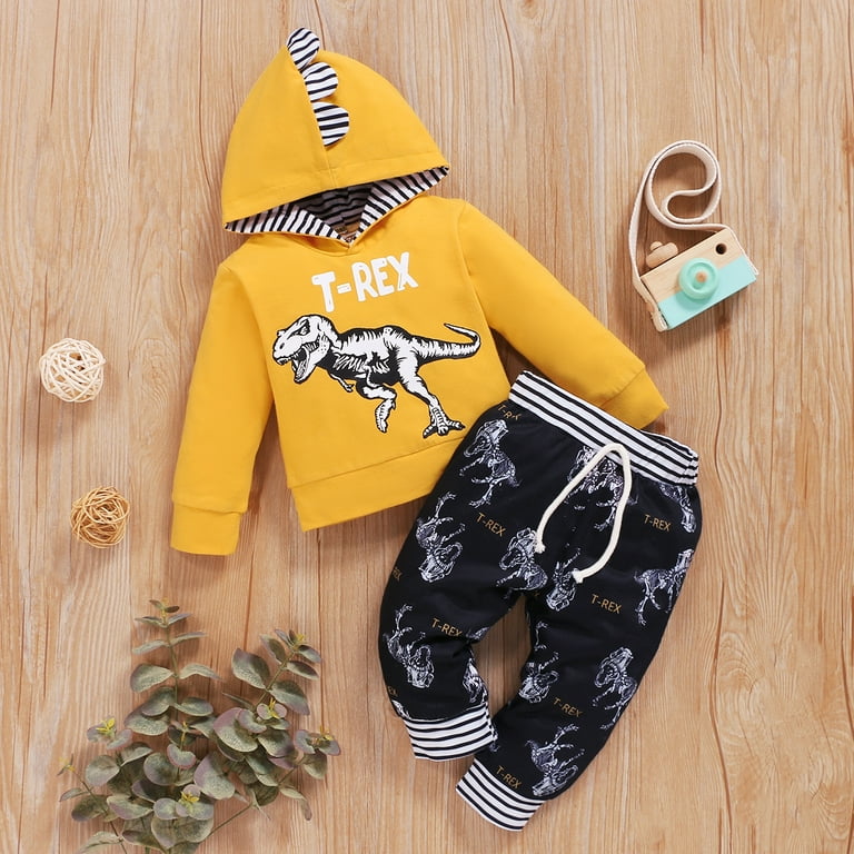 Infant Baby Boys Clothes Baby Boys Outfits Dinosaur Print Long