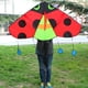 thumbnail image 1 of Ladybug Delta Kite Fly Kite con cola Fácil de volar Manga de viento Enorme Envergadura Gigante de una sola línea para jardín Juguete Viajes familiares Baoblaze cometa triangulo, 1 of 8