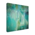 thumbnail image 4 of Color Bakery 'Aqua Circumstance' Canvas Art, 4 of 4