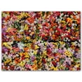 thumbnail image 1 of Picture-Tiles.com: Flowers Ceramic Tile Wall Mural WAL500626-43XL. 48"W x 36"H using (12) 12" x 12" Ceramic Tiles-Satin Finish, 1 of 3