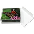 thumbnail image 2 of Small World Greetings Monarch Butterfly Note Cards 12 Count-Blank Inside with White Envelopes-A2 Size 5.5" x 4.25"-Summer Greeting Cards-Nature Stationery-Birthday, Thank You, and Much More, 2 of 8