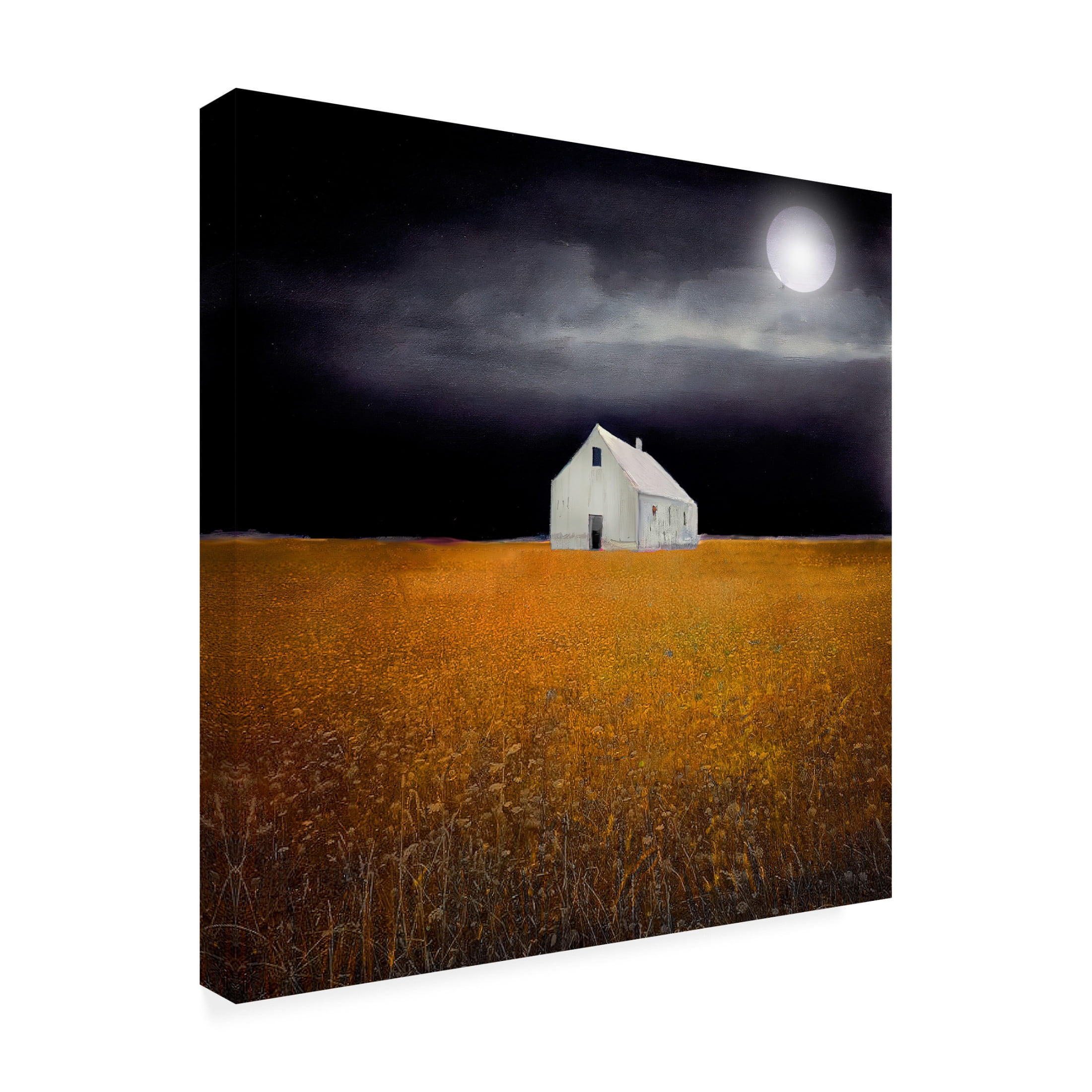 Canvas Wall Art - Sasha 'Black Night Harvest' Wall Art for Living Room, Bedroom, or Office Décor by Trademark Fine Art - 18 x 18 Inches