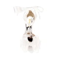 thumbnail image 2 of XYD Women Open Almond Toe Mid Heels Bowknot Ankle Strap Sandals Romantic Lace up Wedding Dressy Shoes Size 6.5 Ivory, 2 of 4