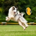 thumbnail image 6 of RuiJiao Cloth Rope Pet Flying Disc Pet Toys Snap Proof Dog Training Toys Pet Teething Toys Outdoor Dog Flying Disc Fabric Pet Educational Toys, 6 of 8