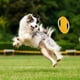 thumbnail image 4 of Cuerda de tela,disco volador para mascotas,juguete de entrenamiento para perros,broche Juguete educativo para exteriores a prueba de dentición,juguete de tela resistente para mascotas,ideal para, 4 of 6