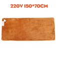 thumbnail image 1 of Manta eléctrica de invierno de 220V, calentador más grueso, doble cuerpo, termostato, manta de calefacción eléctrica, 1 of 3