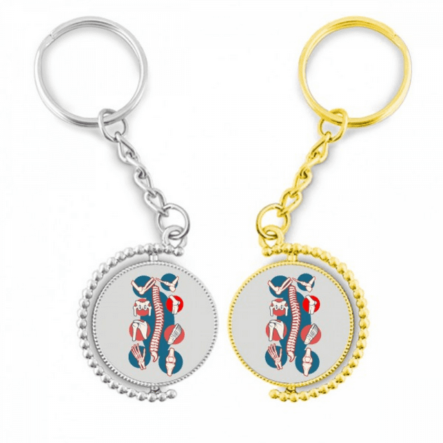 illustration de joint de Corps Vertébral Tournant Porte-Clés Accessoire couple Porte-Clés