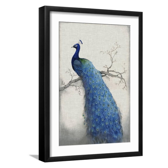 Art.com Peacock Blue II Art Print by Tim O'toole, Black Frame Wall Art, 17" x 23"