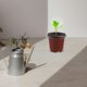 thumbnail image 5 of BRIGHTFUFU 10 juegos de macetas de vivero de flores, macetas de jardín para plantar flores, maceta de vivero con cúpula, 5 of 8