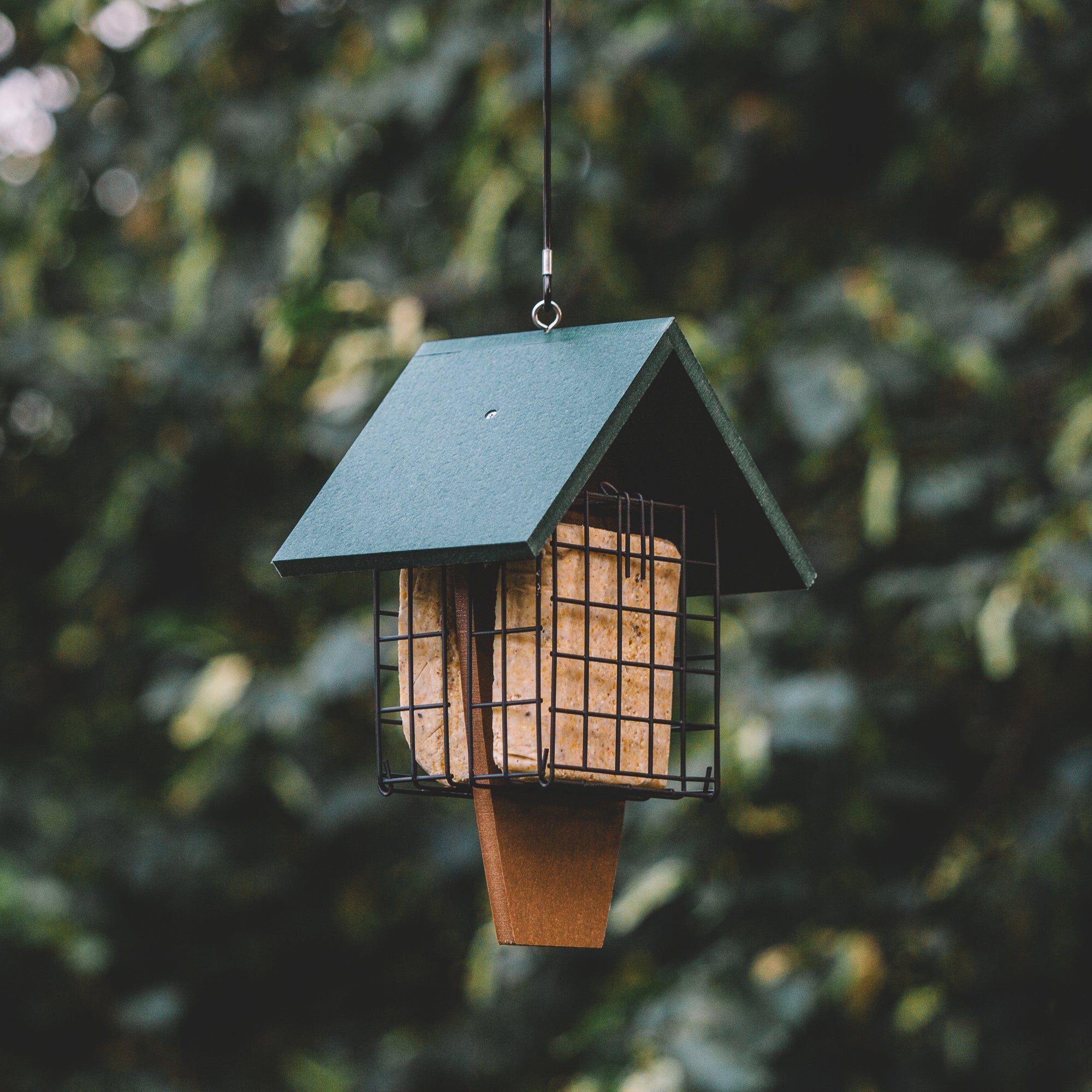 Backyard Expressions SAWTOOTH Plastic Lumber Bird Feeder w/ Suet Cages
