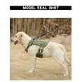 thumbnail image 3 of Chaleco táctico para perros Chinichu para entrenamiento de caminar, color verde, 3 of 9