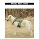 thumbnail image 3 of Chaleco táctico para perros Chinichu para entrenamiento de caminar, color verde, 3 of 9