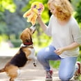 thumbnail image 3 of KMWGRE Durable Interactive Squeaky Dog Toy For Teeth Cleaning Chew Entertainment Medium Large Breed Yellow 21x13cm, 3 of 4