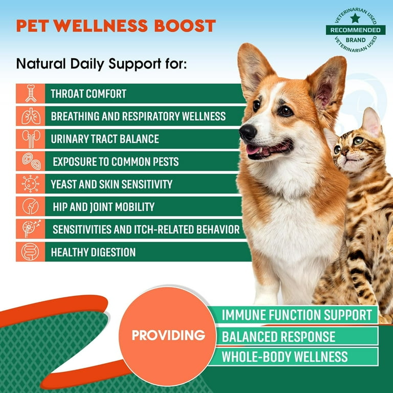 Beloved Pets Herbal Antibiotics for Cats and Dogs, UTI Support